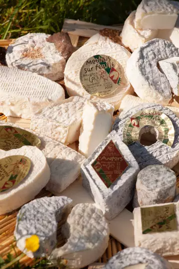 Gamme de fromages de chèvre